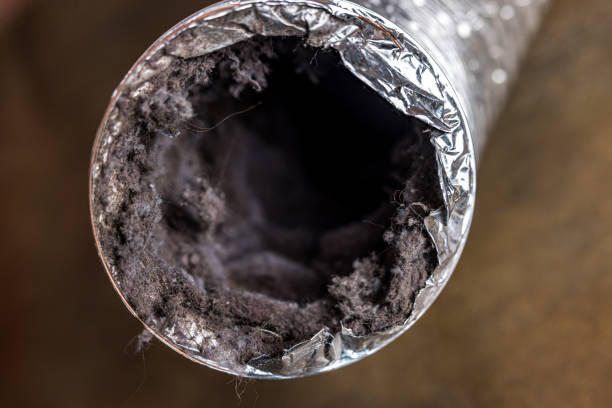 Best Air Duct Cleaning Near Me in Arcola, TX