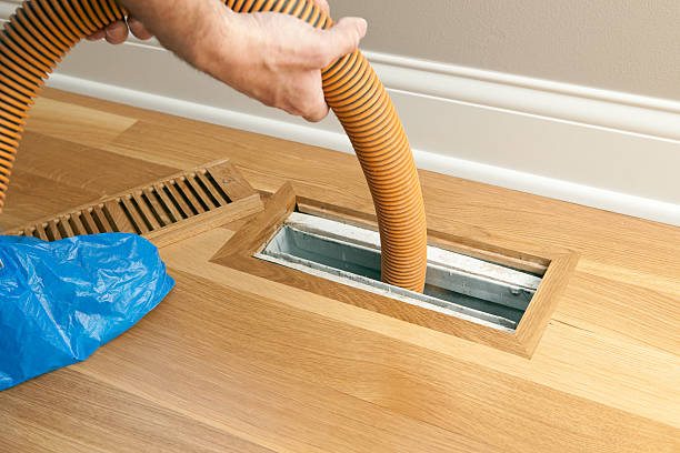 Best Affordable HVAC Duct Cleaning  in Arcola, TX