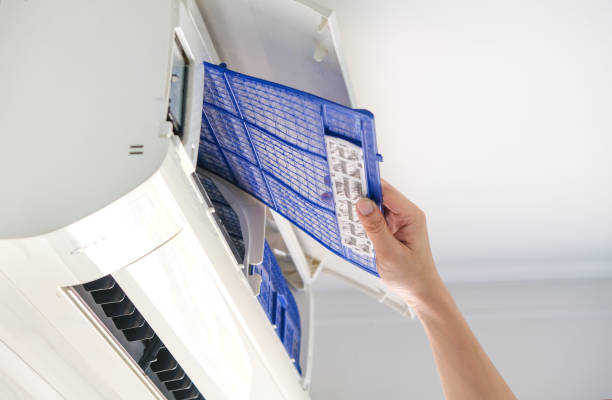 Best Affordable Air Duct Cleaning  in Arcola, TX