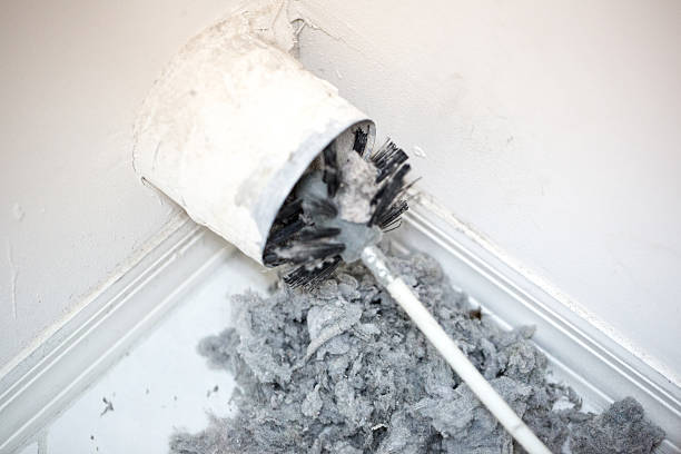 Best Air Duct Cleaning Near Me  in Arcola, TX